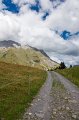 0131 Aravis Plachaux
